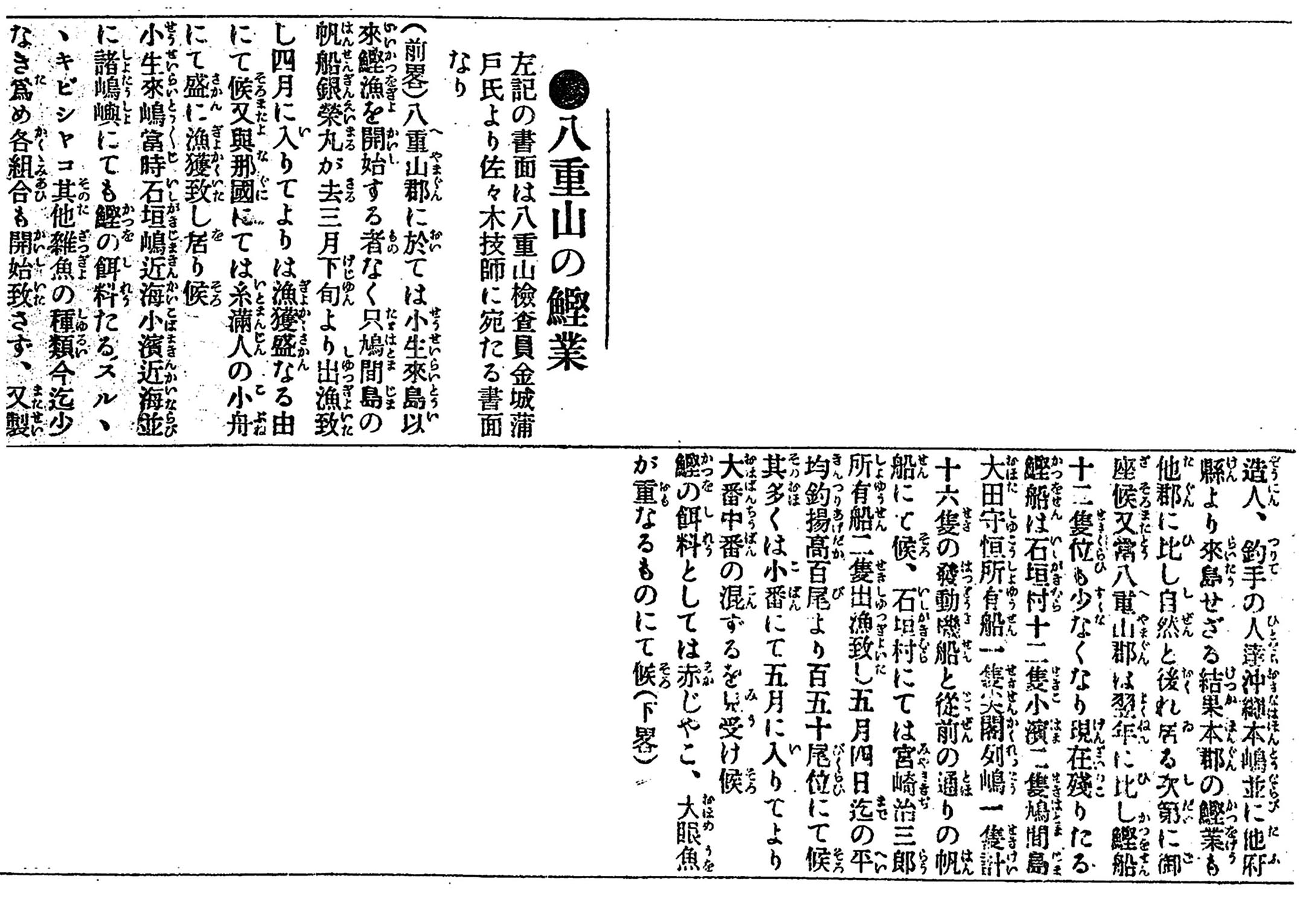 八重山の鰹業 八重山の鰹業